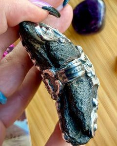 80x65mm Megalodon Tooth - 925 Sterling Silver Detail