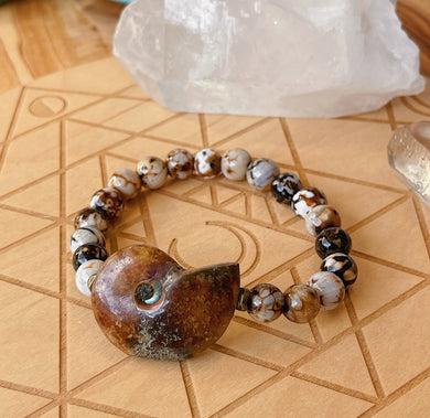 Scallywag - Medium Ammonite + 6mm Fire Agate - Stretch Bracelet