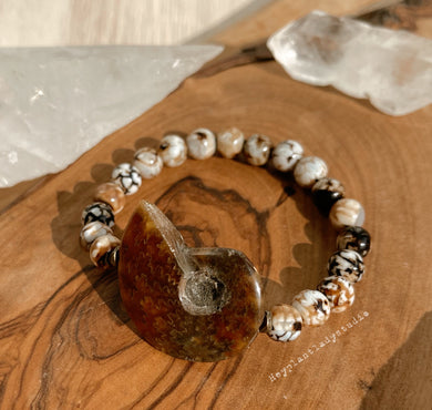 Scallywag - Ammonite + 8mm Fire Agate - Stretch Bracelet
