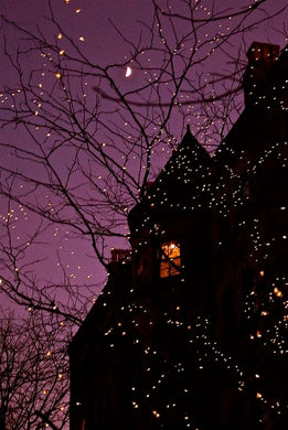 Reserved - Grounded Mystic - 108 Mala Necklace - Purple Hematite + Purple Tigers Eye + Purple Druzy Agate